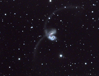 NGC 4038-Final2008.jpg